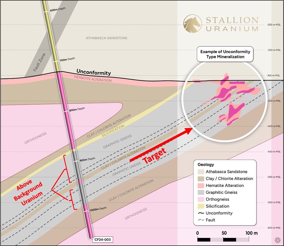 Stallion’s Appaloosa Target