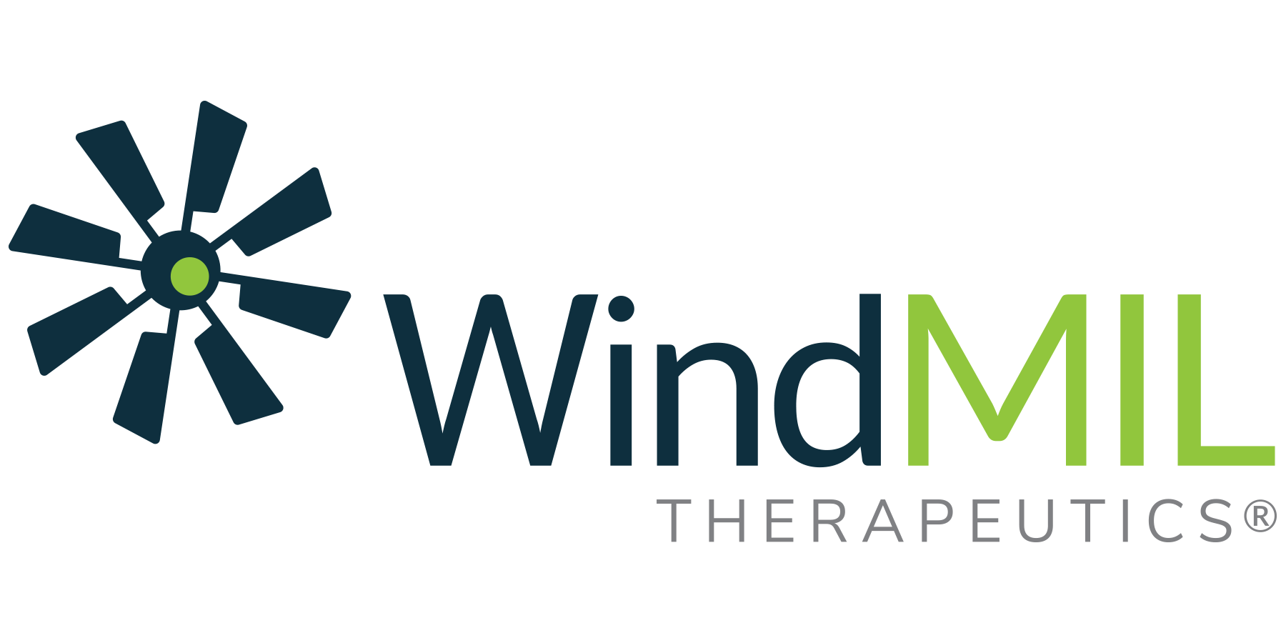 Windmil_rgb_large.png