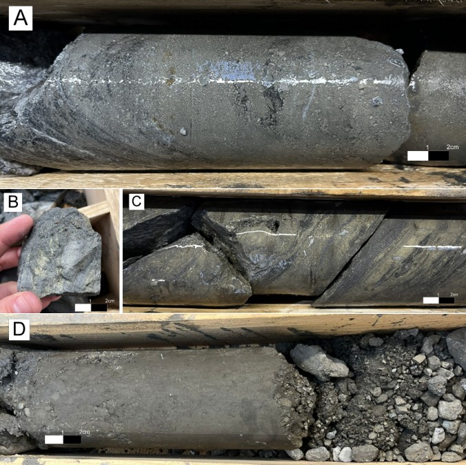 Figure 5 image