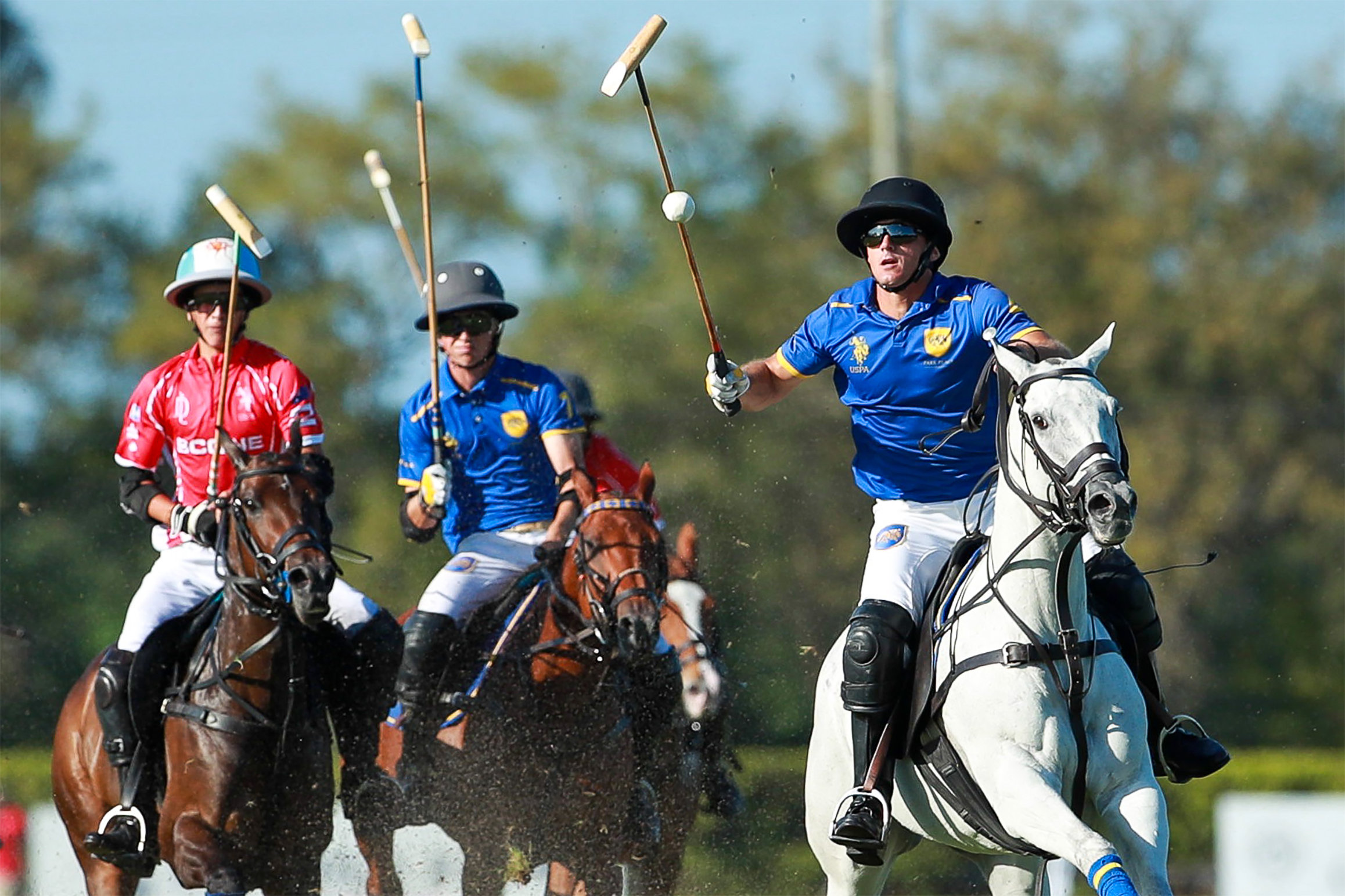 Competitive Polo in Seville - POLO+10