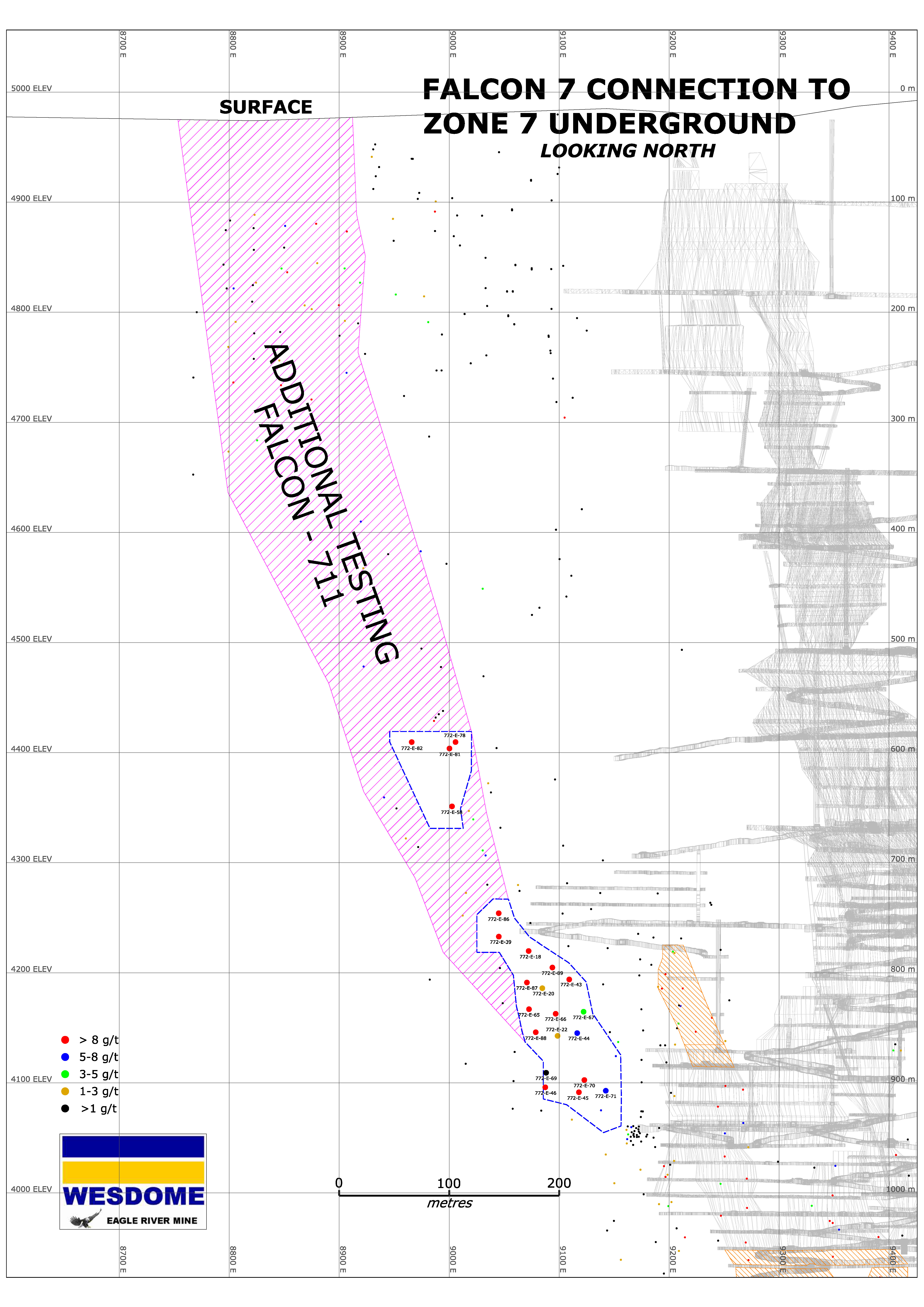 july2020Figure 1 - Longitudinal section of Falcon-7 Zone