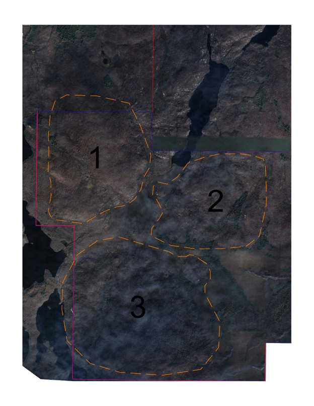 Overhead view of JSHG’s recently acquired Lithium One property, showing three prominent areas