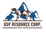 GSP logo.jpg