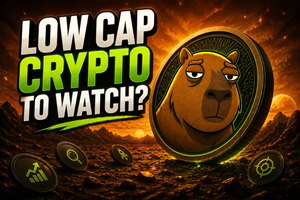 Crypto News: Is Gruntle The Best Low Cap Crypto 2026? Raises $104k as SHIB Fades and Meme Season on Hold