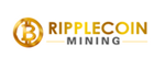 Primary Logo