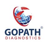 Primary Logo