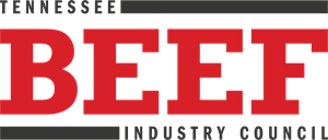 2_medium_TBIC_Logo_Color.png