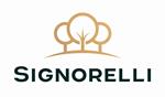 Primary Logo