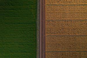 Grupo Bimbo Surpasses 500,000 Hectares Under Regenerative Agriculture Practices