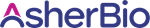 Primary Logo