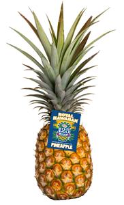 Dole Celebrates a 125-year Legacy of Growing and Sharing Pineapples Around the World in 2026