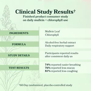 Betterbrand's BetterLungs Mullein + Chlorophyll Shows Significant Respiratory and Fatigue Improvements in 60-Day Clinical Study