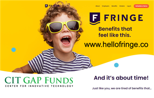 0_medium_FringeInvestmentGraphicCIT1.png