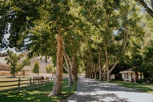 Alisal Ranch Celebrates 80 Years of Western Hospitality 