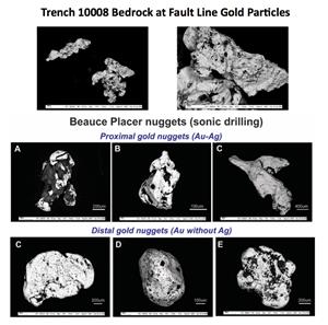 BGF SEM Gold Analysis