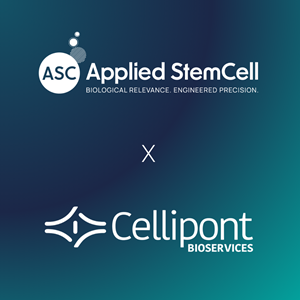 Applied StemCell and Cellipont Bioservices Partner to Offer a Seamless Path for iPSC-Derived Cell Therapy Development 