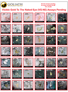 Goliath Drills Several Holes Of High-Grade Gold Up To 10.25 g/t Au Over 7.02 Meters Within 5.20 g/t Au Over 15.00 Meters From 281m To 296m Downhole, Surebet Discovery Remains Open, Golddigger Property, Golden Triangle, B.C.