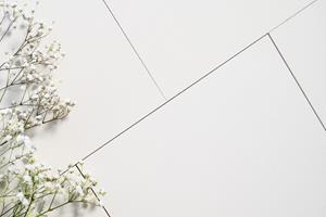 Flora Materials Debuts Resilient, Bio-Based Shoreline Flooring Collection, at NeoCon 2026