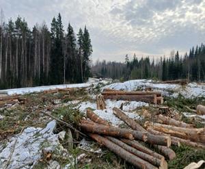 3 E Network Announces Progress Update on Finland AI Data Centre Project: Site Clearance Completed and Earthworks Underway