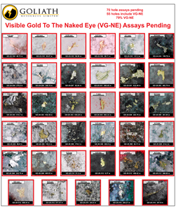 Goliath Reports 10 High-Grade Holes Up To 7.28 g/t Au Over 8.00 Meters Within 5.85 g/t Au Over 10.00 Meters In RIRG Dyke (417m - 427m downhole and 500m Above Valley Floor) At The 1.8 Km2 Surebet Discovery That Remains Open, Golddigger Property, Golden…