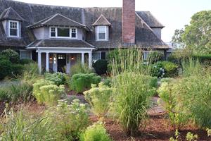 Wild Ones Expands Free Native Garden Design Program and Announces Two National Webinars to Help Grow Change