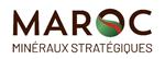 Primary Logo