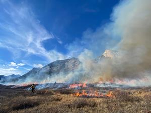 First-of-Its-Kind $8M Training Program Reignites the Use of Prescribed Fire on the Land
