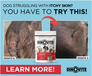 Dinovite for Dogs & Cats Gaining Rapid Popularity Among Pet Lovers