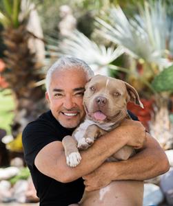 XCEL BRANDS Announces Renowned Dog Behaviorist and Television Personality Cesar Millan to Premiere on QVC
