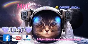 nsav-announces-partnership-with-metaverse-network-to-launch.jpg