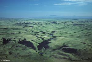 CWF and Partners Showcase Secret Life of Grasslands
