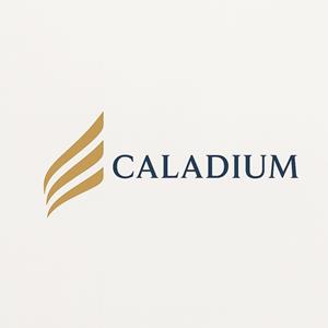 Luxembourg’s Quiet Powerhouse: Caladium Raises $345 M to Bridge Asia, Europe & Web3 Frontiers