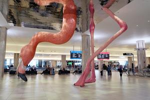 PATTISON Outdoor US embarks on an historic partnership with Tampa International Airport