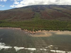 0_medium_Keōmokushoreline-PūlamaLānaʻi.JPG