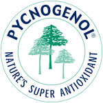 Primary Logo