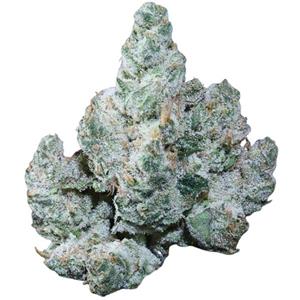 Sherlocks Glass & Dispensary Named Best THCa Flower Dispensary Online by stupidDOPE and Best Overall Dispensary in Raleigh Across 28 Competitors