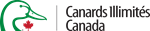 Primary Logo