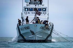 Sea Shepherd crew pulling in an illegal totoaba gillnet inside the Vaquita Refuge