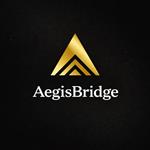 AegisBridge (AGB TOKEN) Completes Brand Positioning Upgrade With Focus on Institutional Asset Infrastructure