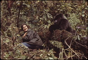On the 40th Anniversary of Dian Fossey’s Death, the Dian Fossey Gorilla Fund Commemorates the Legacy She Left Behind