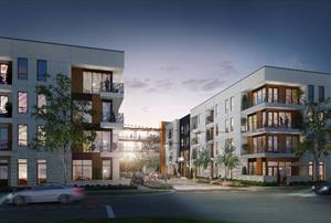 Ferro, Plano, TX