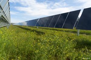 Vistra Corp. Buys American, Selects First Solar PV Modules for Texas Projects