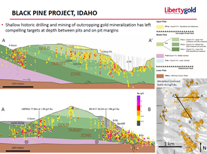 Black Pine Cross Section