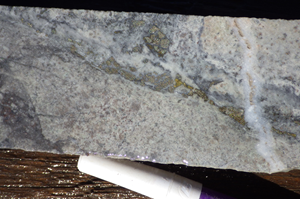 VR Initiates Exploration Plans for its Bonita porphyry copper-gold project in Nevada