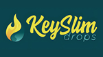 Primary Logo