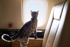 VistaJet