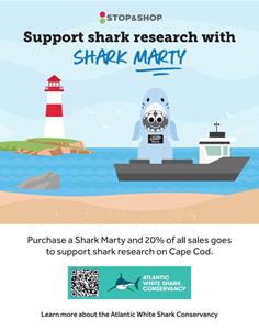 Atlantic White Shark Conservancy and Stop & Shop Launch the Search for “Shark Marty”