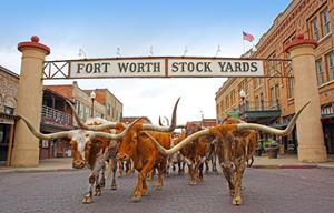 Fort Worth Stockyards Announces 39 Days of Programming for 2026 FIFA World Cup