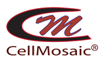 Primary Logo