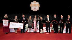 Lhasa Apso “JJ” Wins Best in Show at 25th AKC® National Championship Presented by Royal Canin